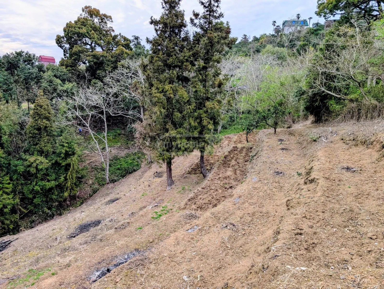 Non-Agricultural Plot For Sale In Batumi view 3