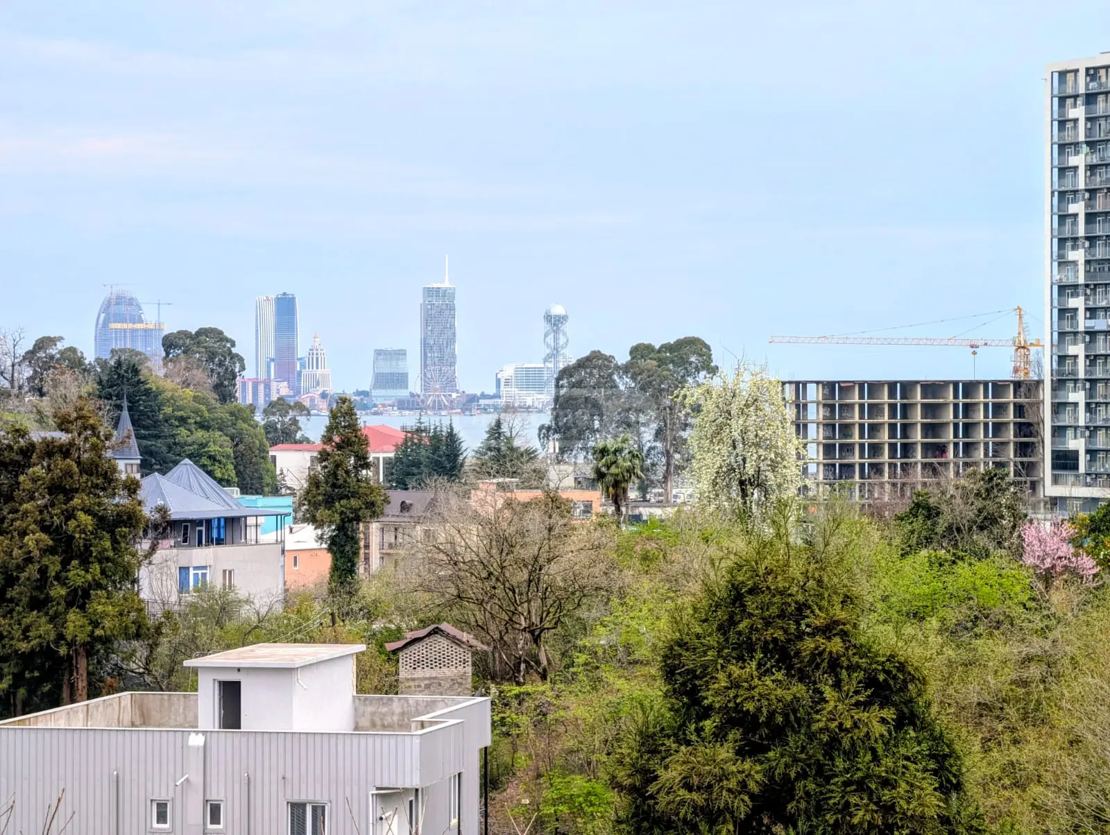 Non-Agricultural Plot For Sale In Batumi view 10