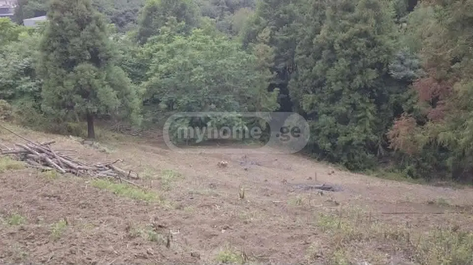 Non-Agricultural Plot For Sale In Batumi view 6