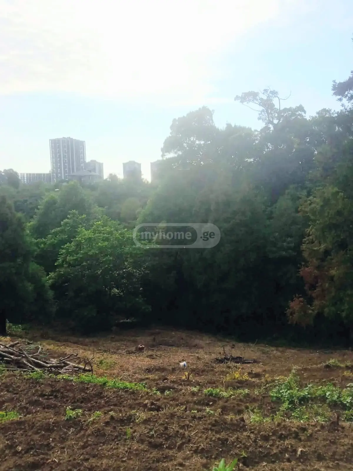 Non-Agricultural Plot For Sale In Batumi view 9