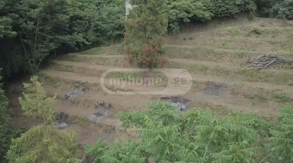 Non-Agricultural Plot For Sale In Batumi view 8