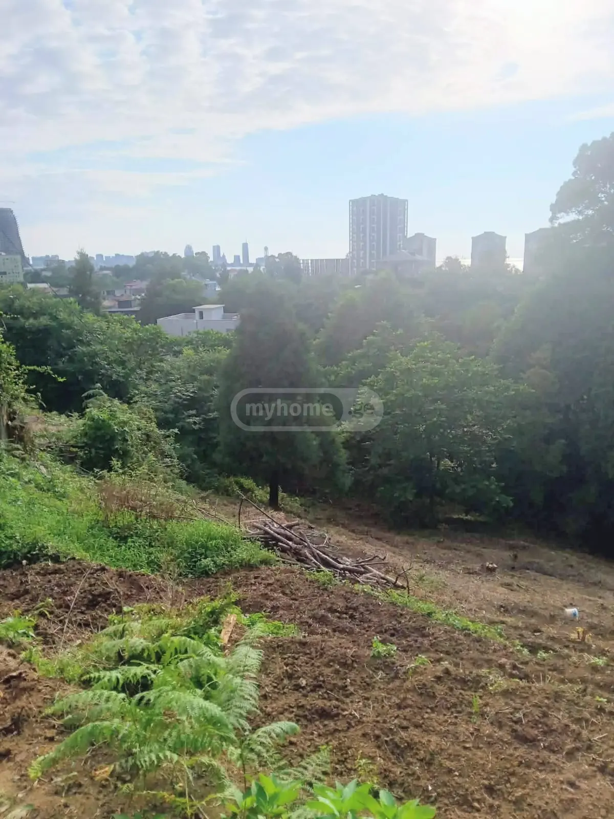 Non-Agricultural Plot For Sale In Batumi view 7