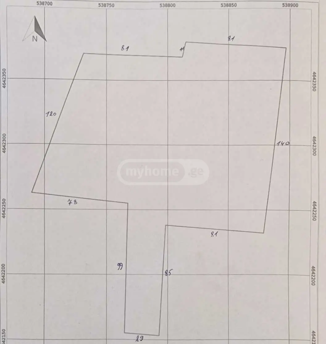 Non-Agricultural Plot For Sale In Telavi view 1