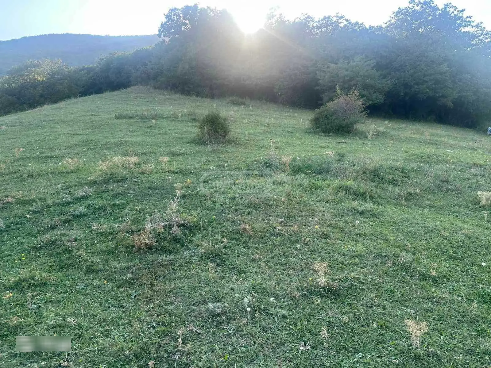 Non-Agricultural Plot For Sale In Tsodoreti view 3