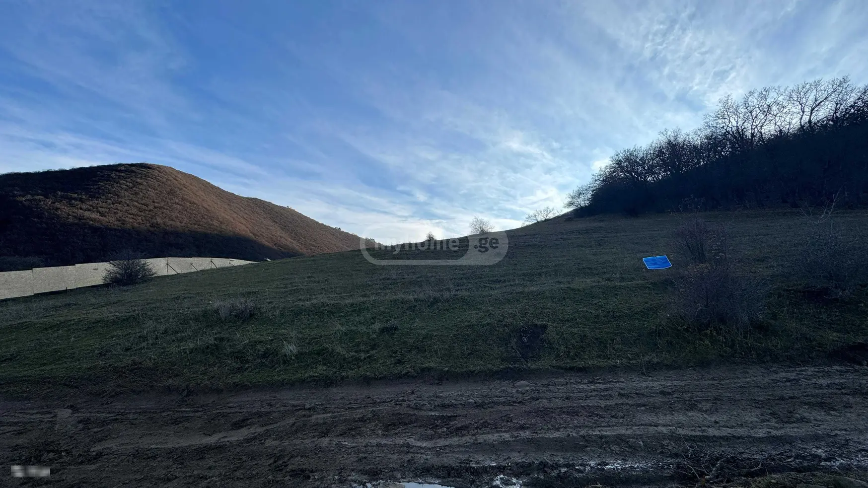 Non-Agricultural Plot For Sale In Tsodoreti view 9