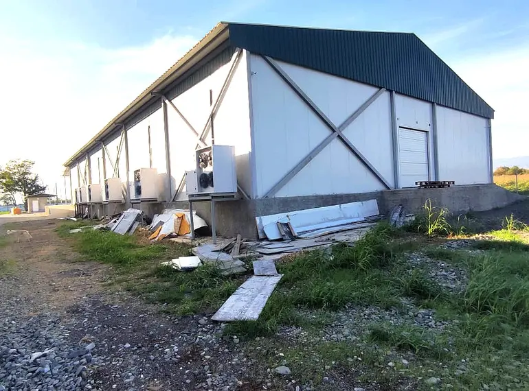 building