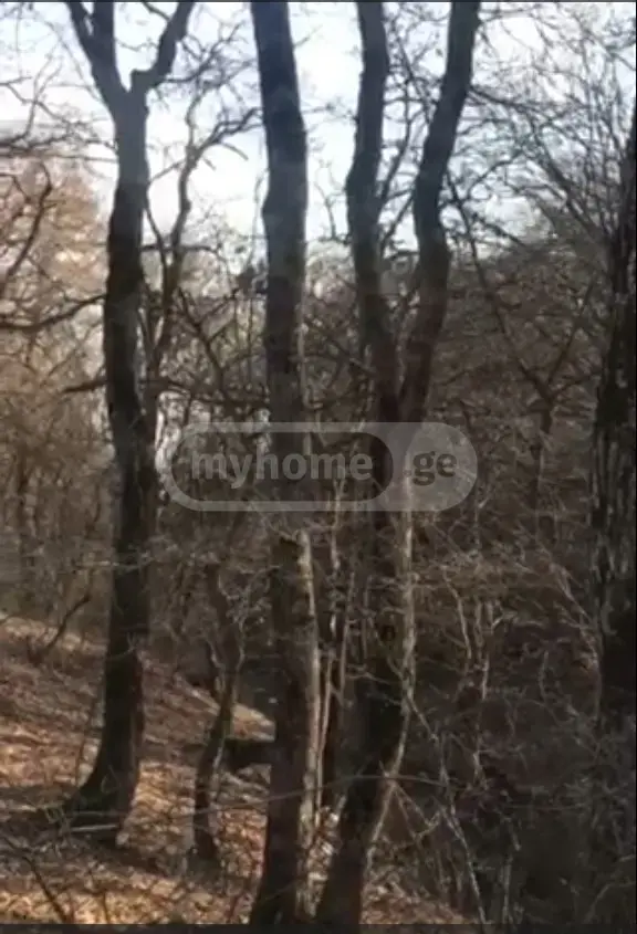 6 Room Country House For Sale view 11