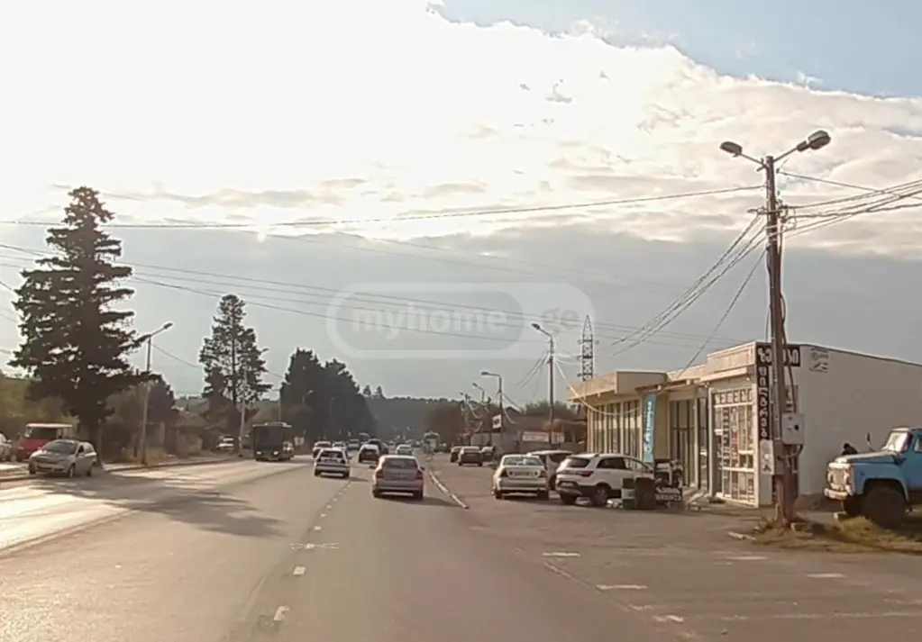 Investment / For Construction Plot For Sale In Chugureti view 3