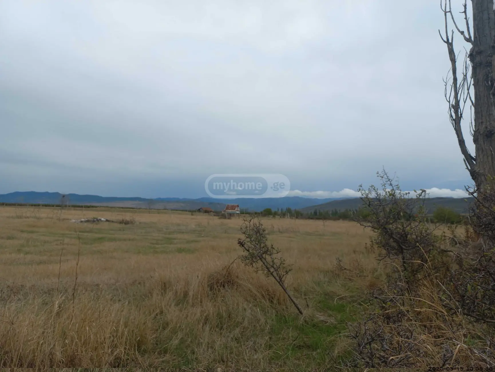 Agricultural Plot For Sale In Okami, In Kaspi Municipality view 2