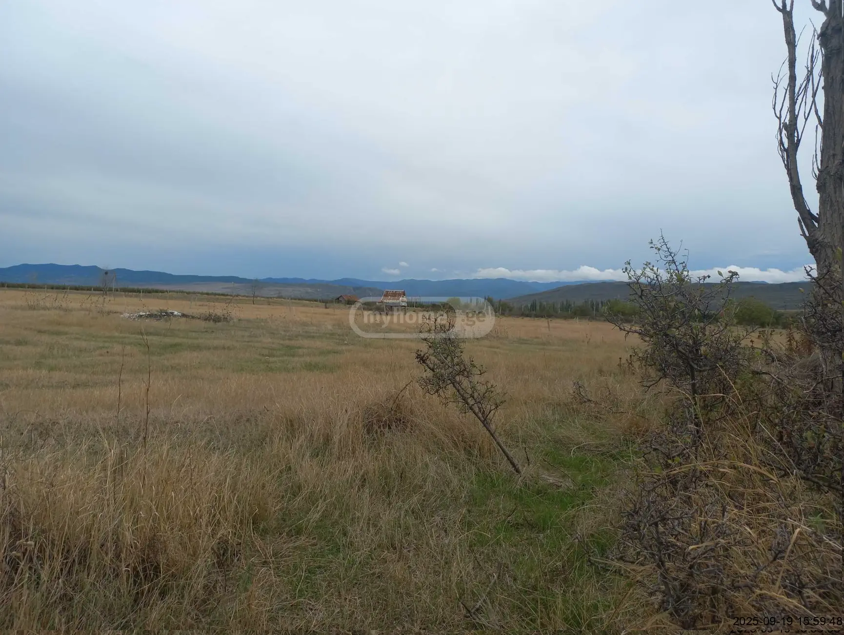 Agricultural Plot For Sale In Okami, In Kaspi Municipality view 3