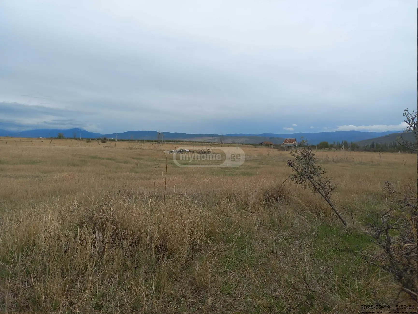 Agricultural Plot For Sale In Okami, In Kaspi Municipality view 4