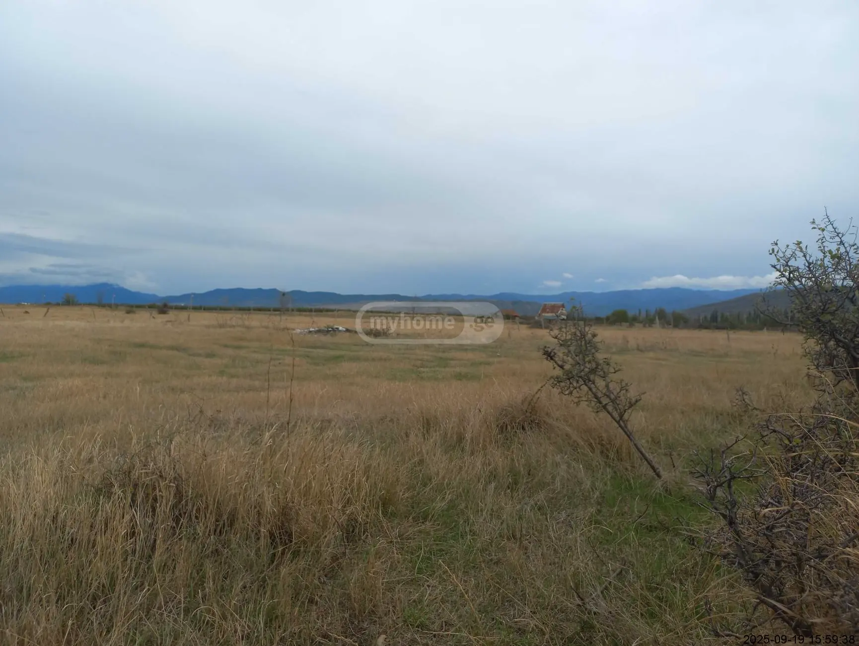 Agricultural Plot For Sale In Okami, In Kaspi Municipality view 1