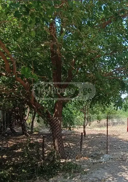Commercial Plot For Sale In Saburtalo view 3