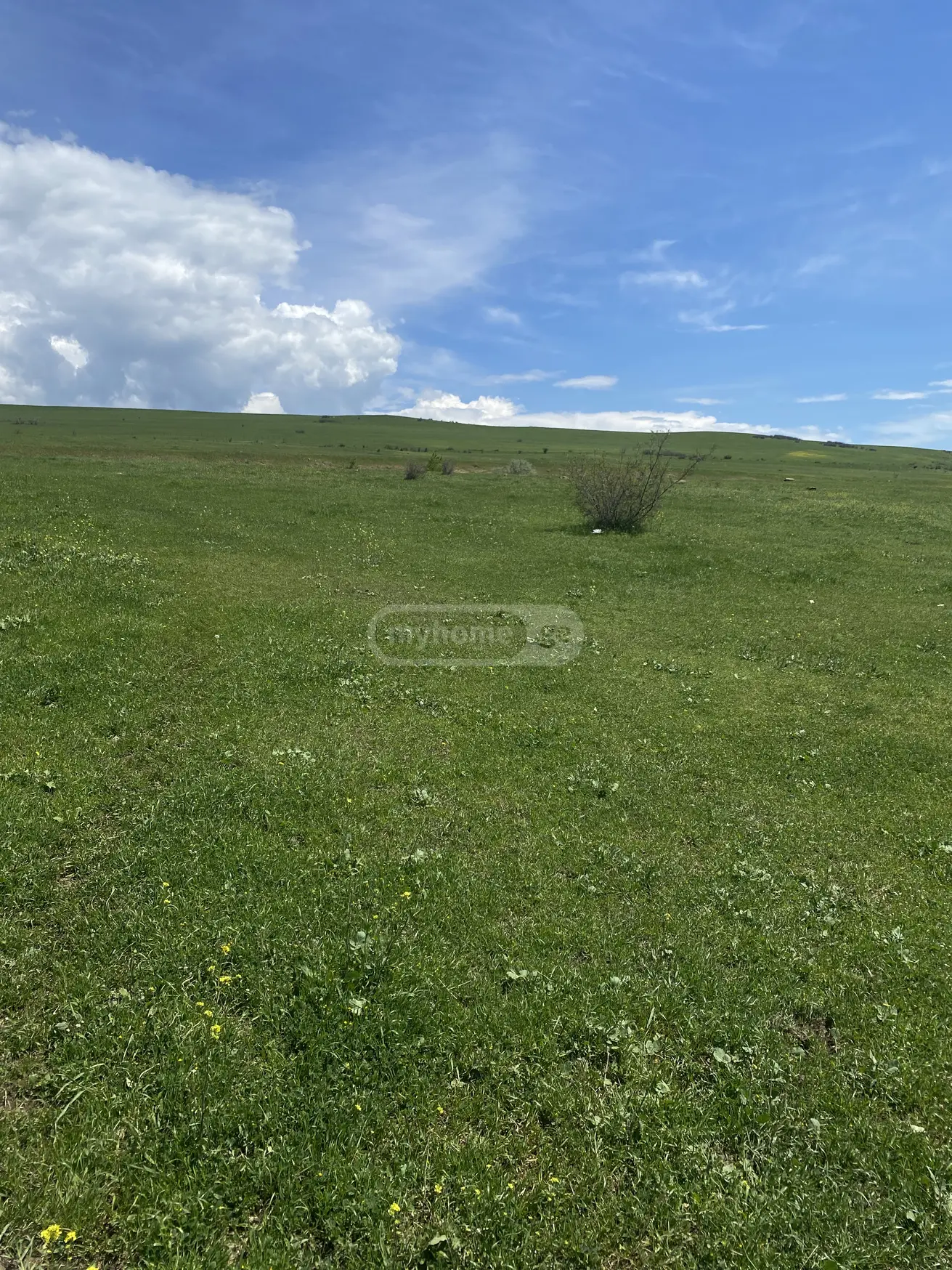 Agricultural Plot For Sale In Varketili view 3