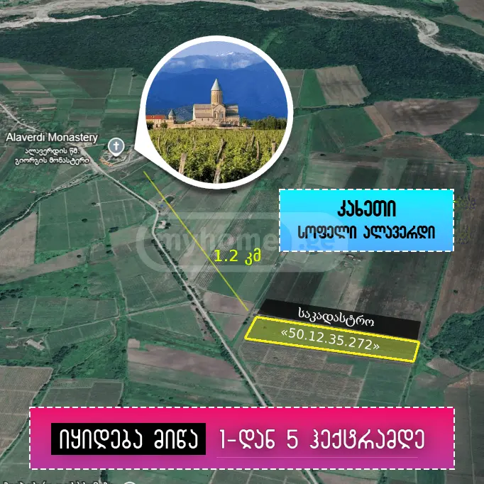 Non-Agricultural Plot For Sale In Telavi view 1