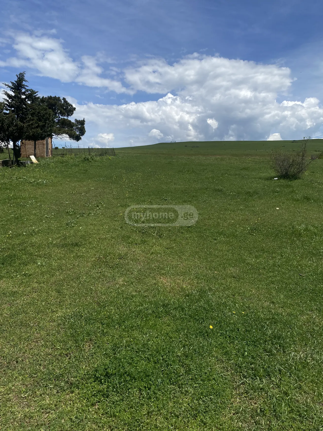 Agricultural Plot For Sale In Varketili view 4