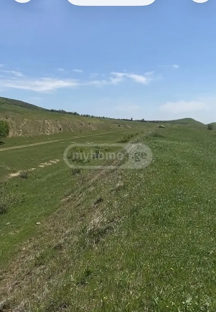 Agricultural Plot For Sale In Varketili view 5