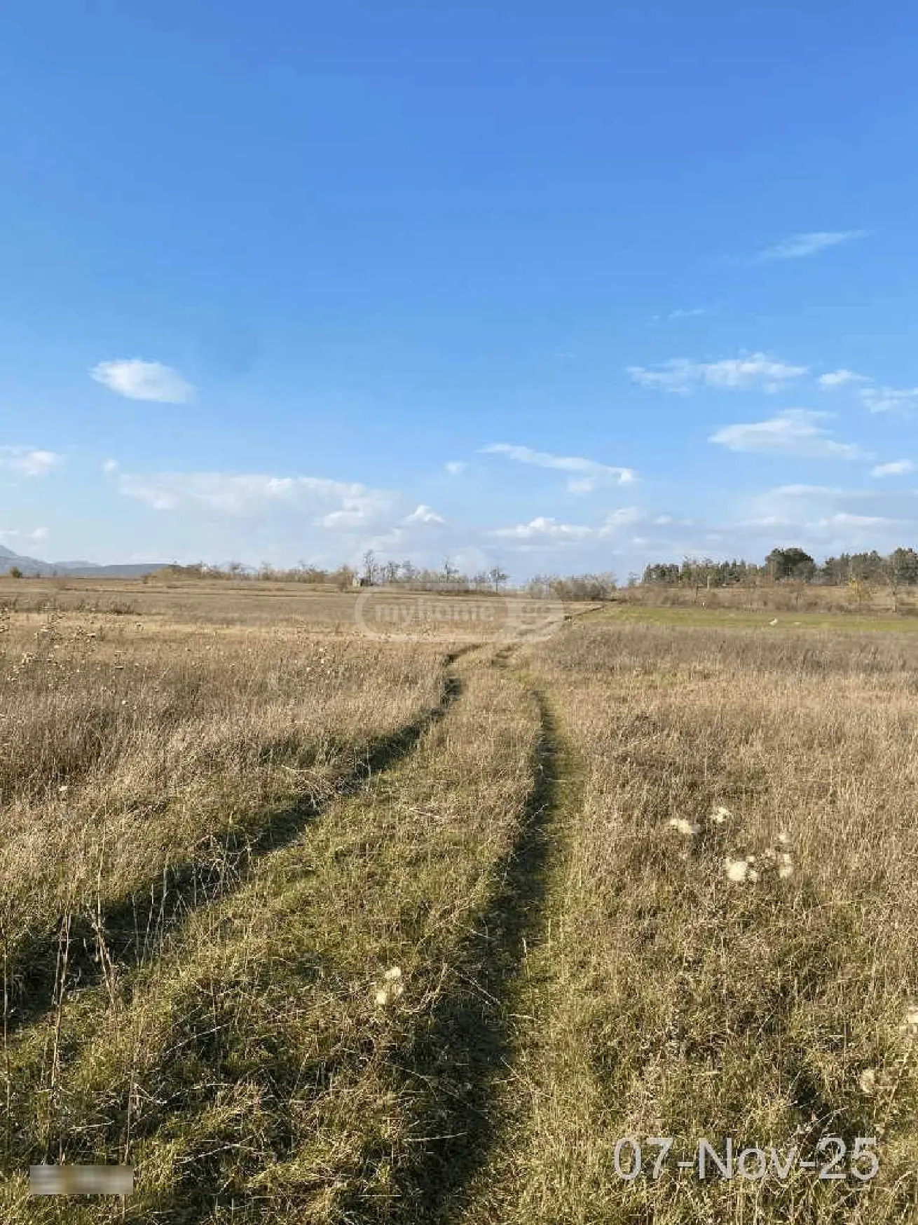 Agricultural Plot For Sale Near Bazalet Lake, In Dusheti Municipality view 6