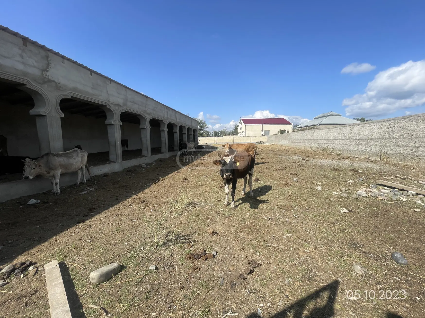 Manufacturing Commercial Area For Sale In Kaspi view 4