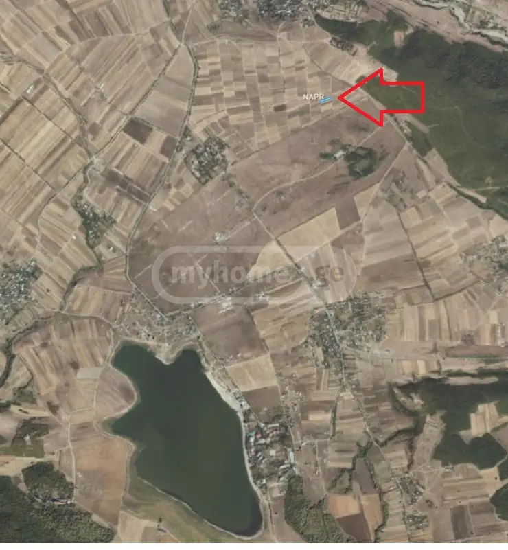 Agricultural Plot For Sale Near Bazalet Lake, In Dusheti Municipality view 1