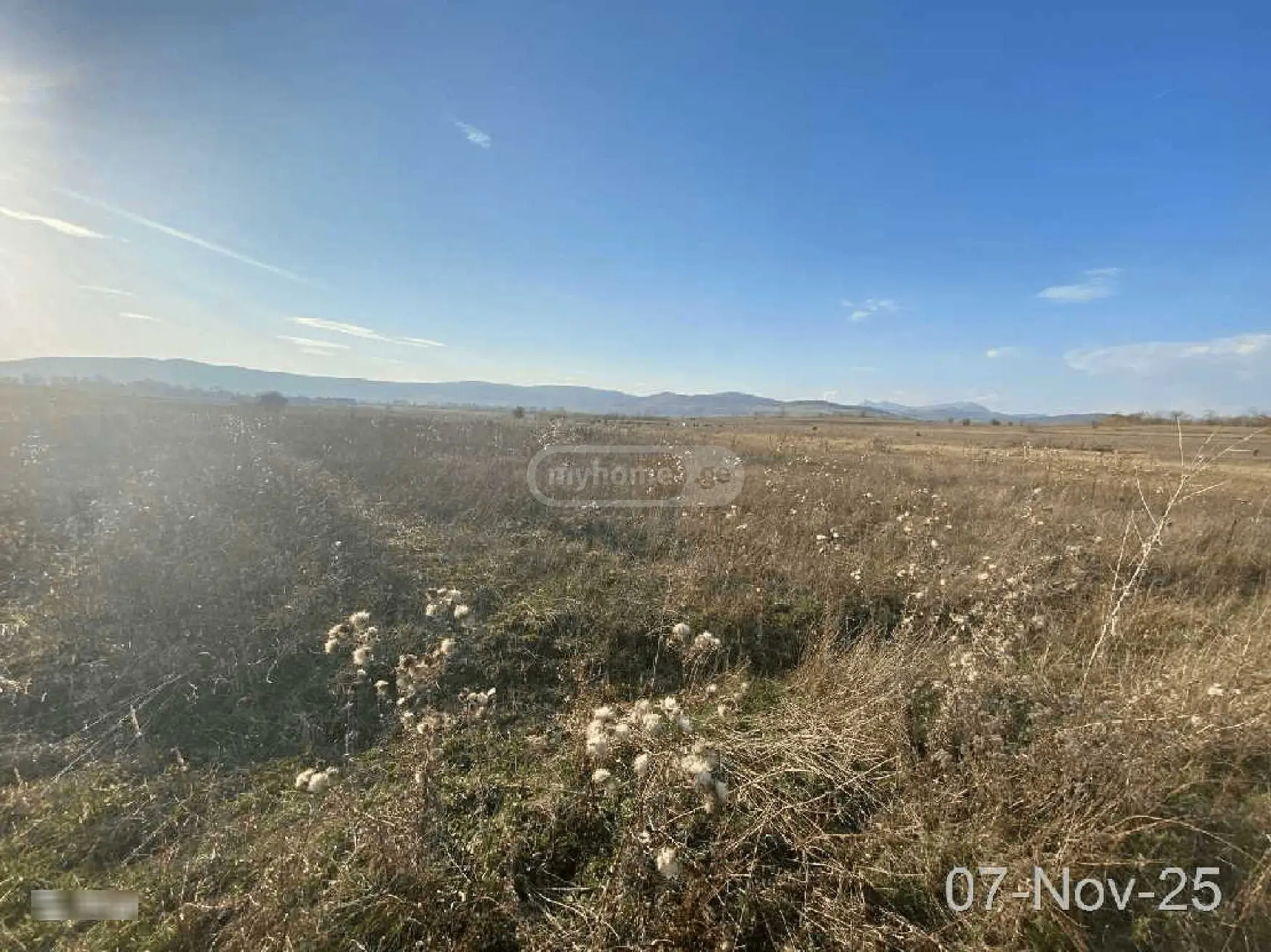 Agricultural Plot For Sale Near Bazalet Lake, In Dusheti Municipality view 4