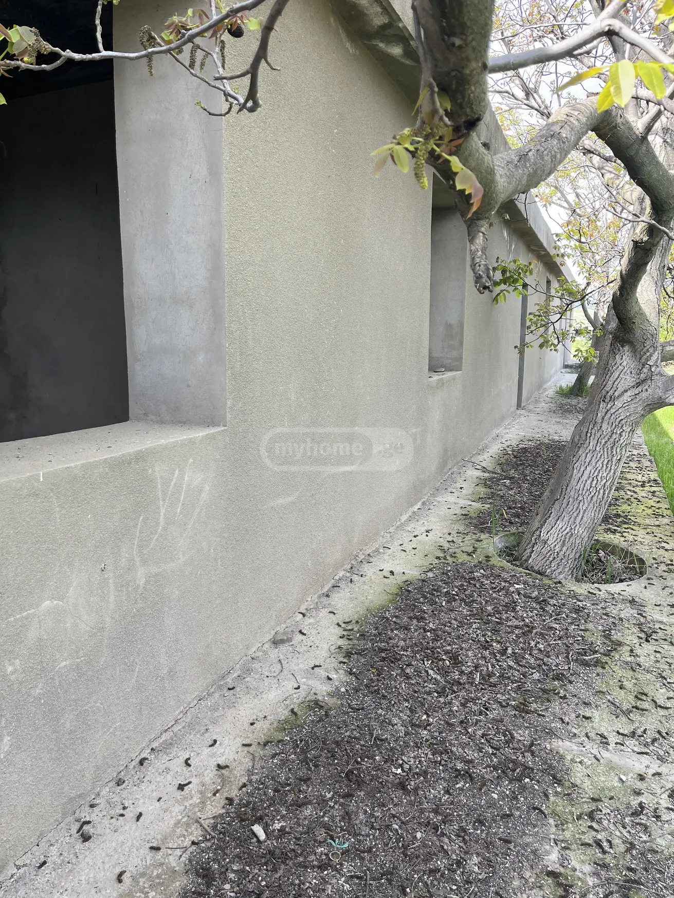 Universal Commercial Area For Sale In Zemo Teleti, In Gardabani Municipality view 3