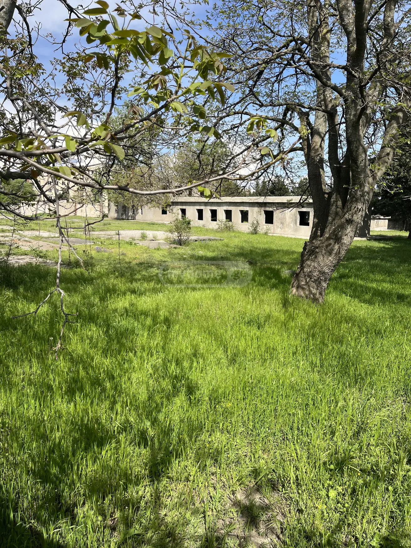 Universal Commercial Area For Sale In Zemo Teleti, In Gardabani Municipality view 2