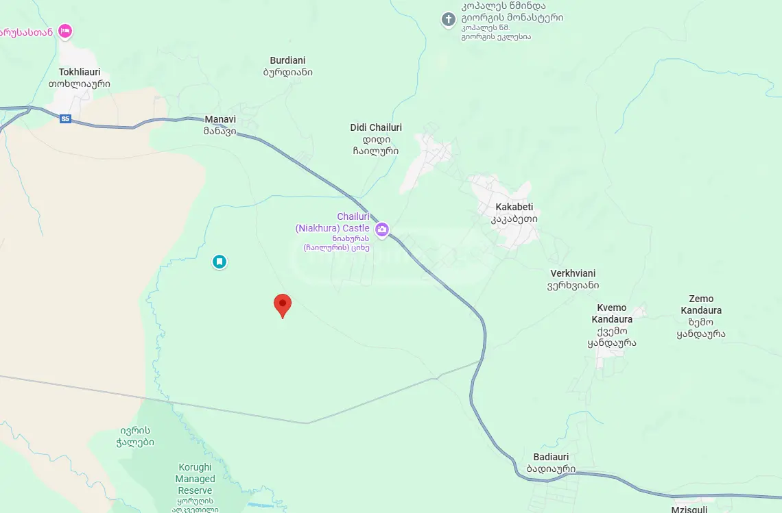 Agricultural Plot For Sale In Sagarejo view 5