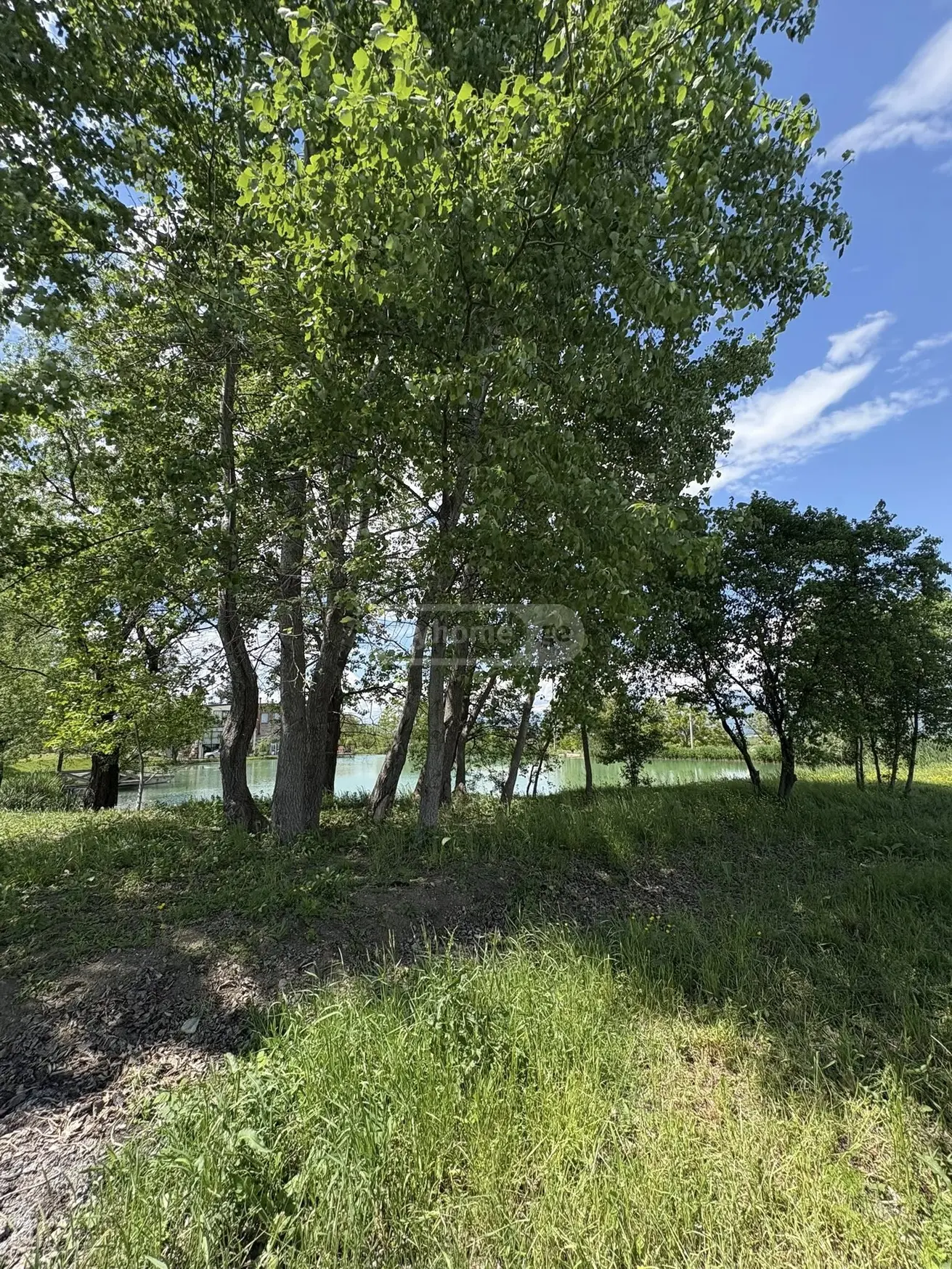 იყიდება Non-Agricultural Plot In Kisiskhevi, In Telavi Municipalityში view 6