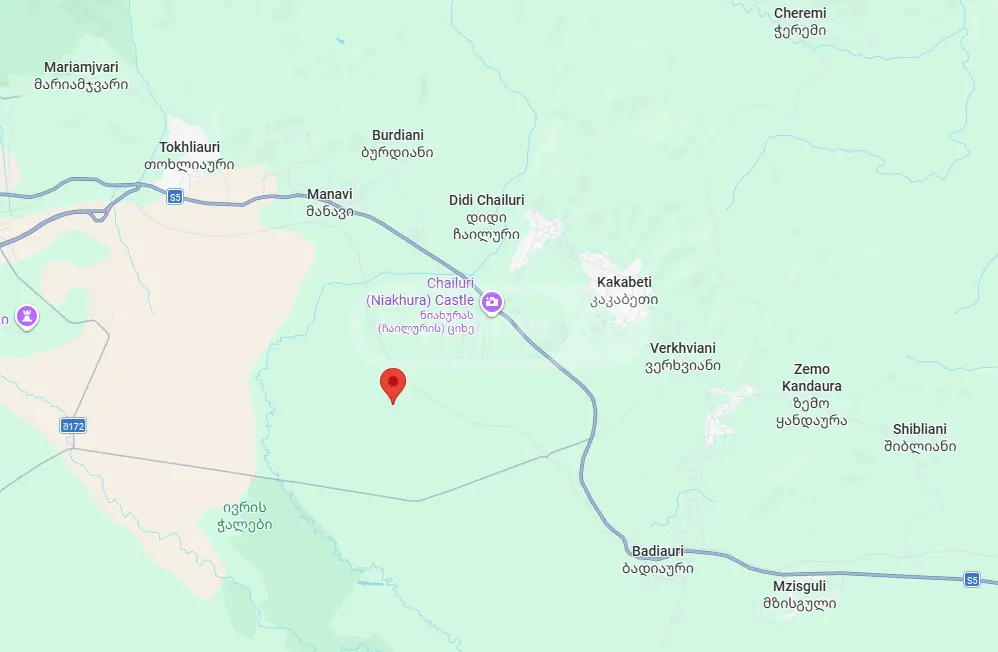 Agricultural Plot For Sale In Sagarejo view 4