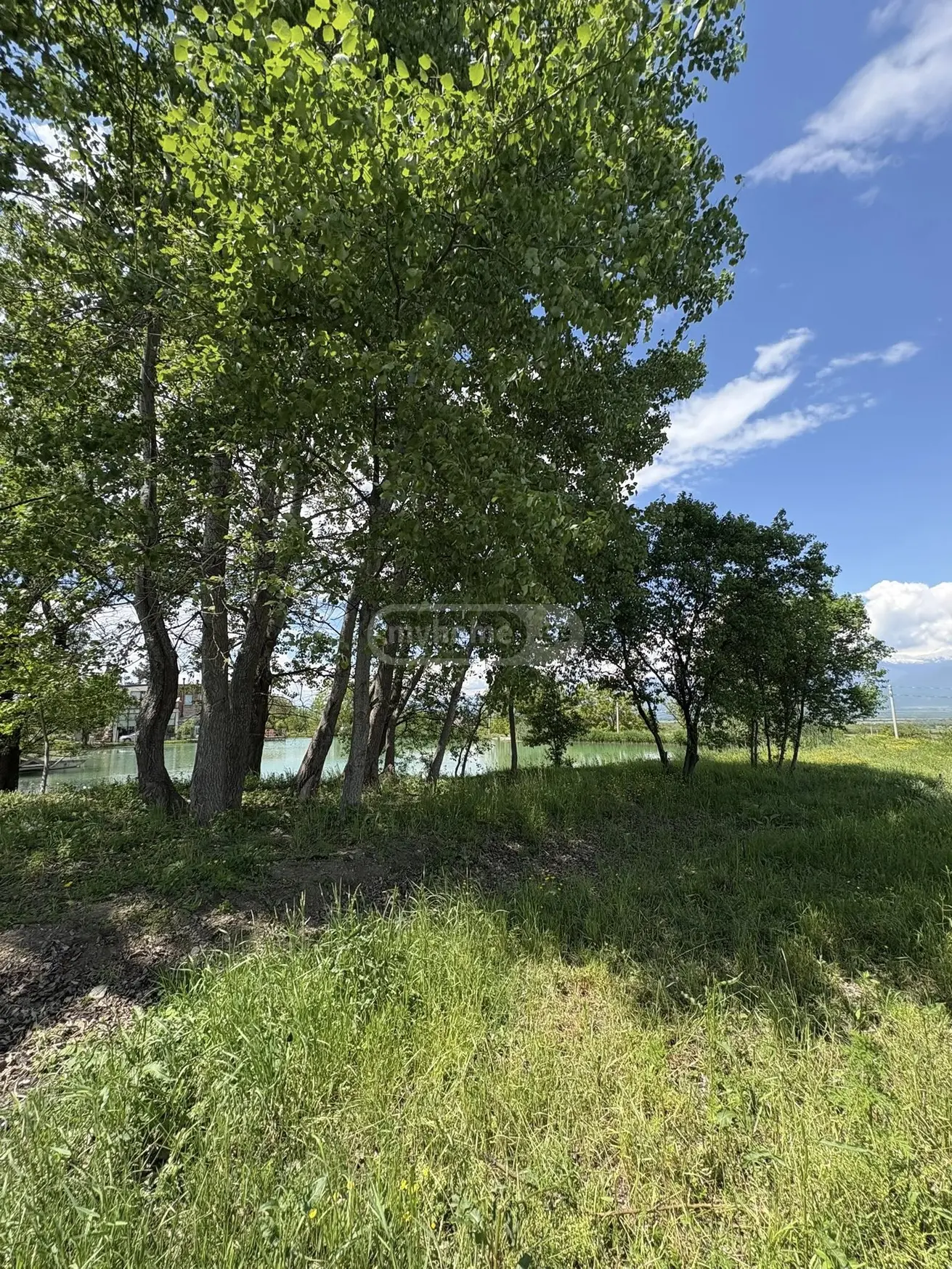 იყიდება Non-Agricultural Plot In Kisiskhevi, In Telavi Municipalityში view 7