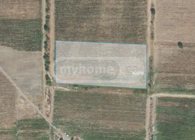 Agricultural Plot For Sale In Sagarejo view 3