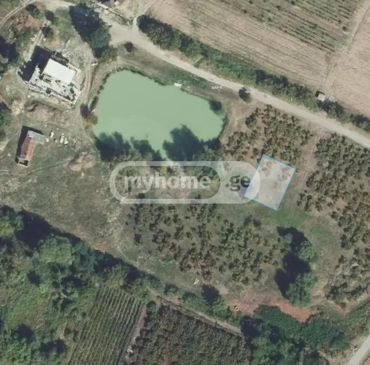 იყიდება Non-Agricultural Plot In Kisiskhevi, In Telavi Municipalityში view 3