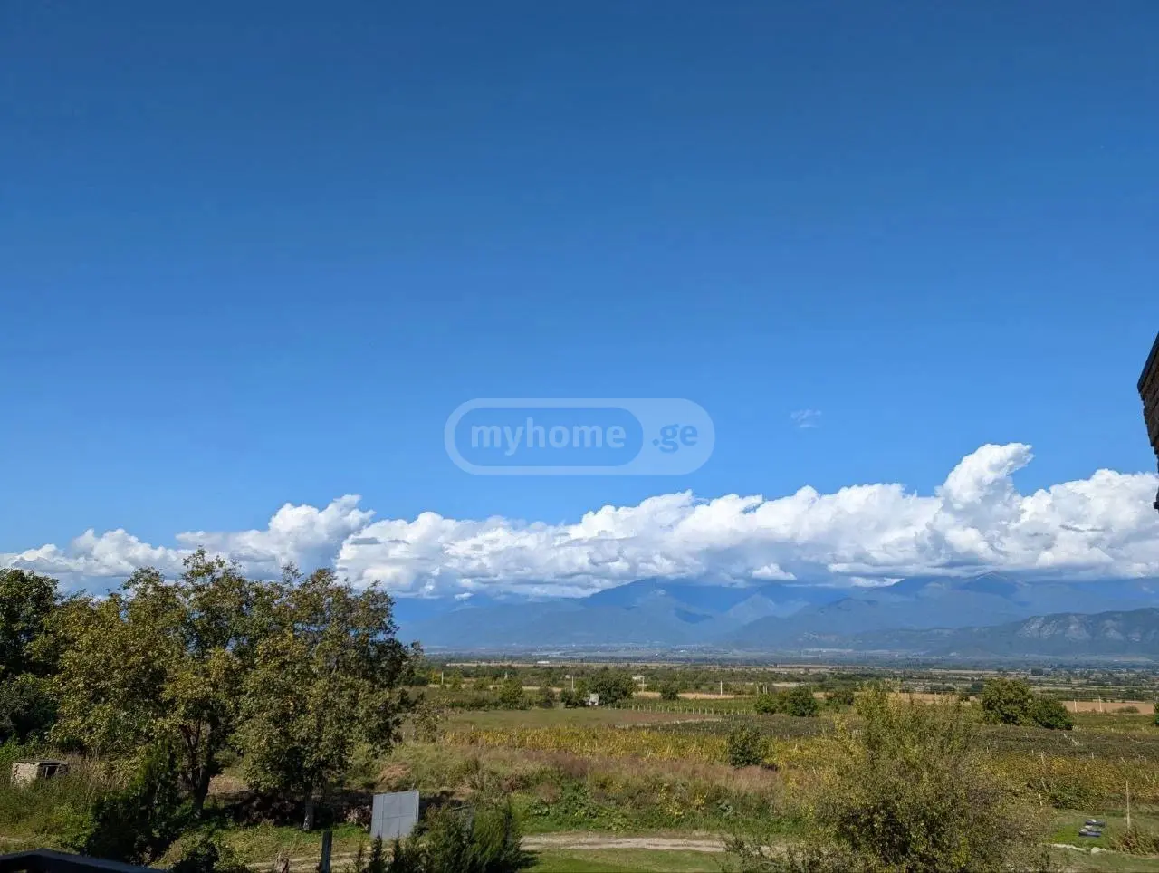 იყიდება Non-Agricultural Plot In Kisiskhevi, In Telavi Municipalityში view 1