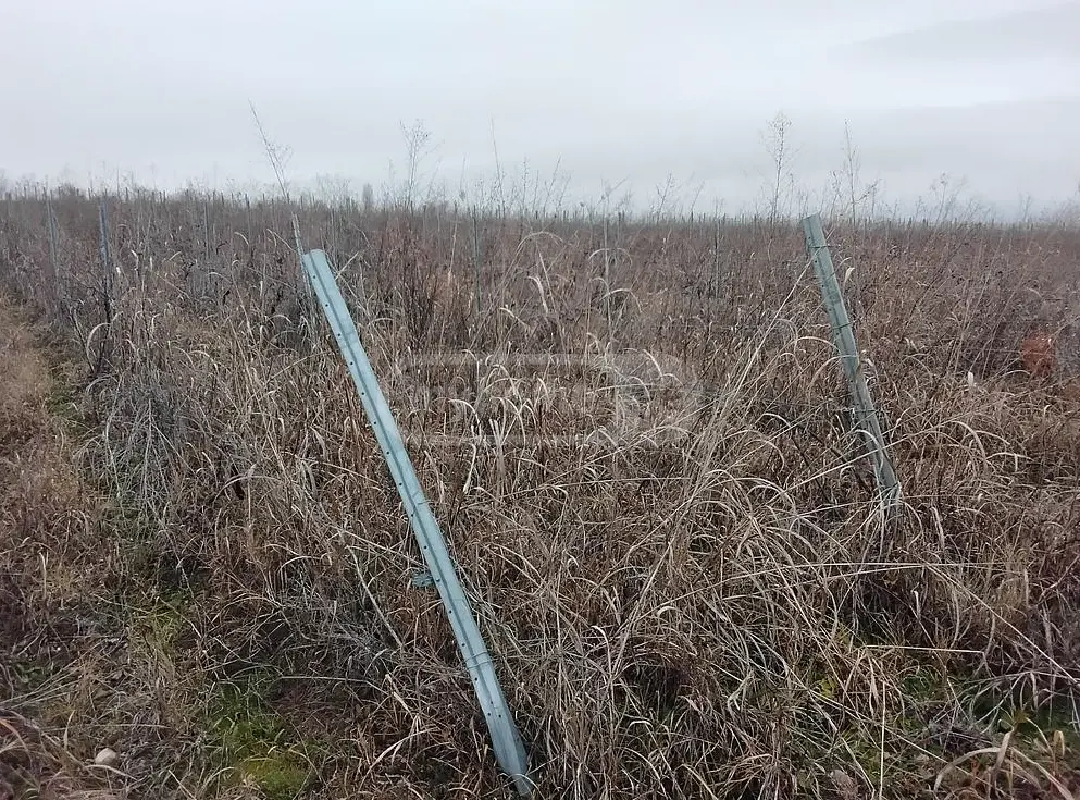 Agricultural Plot For Sale In Sagarejo view 1