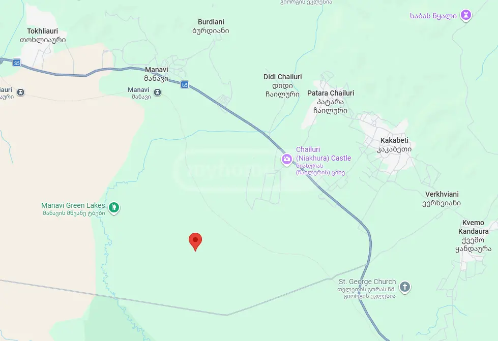 Agricultural Plot For Sale In Sagarejo view 5