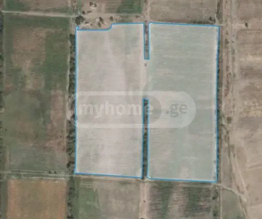 Agricultural Plot For Sale In Sagarejo view 4