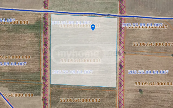 Agricultural Plot For Sale In Sagarejo view 4