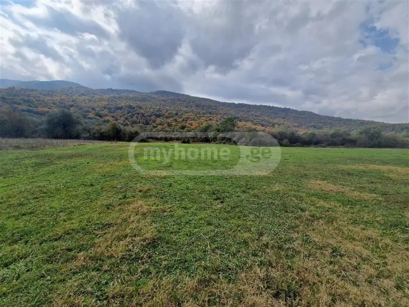 Agricultural Plot For Sale In Tianeti, In Tianeti Municipality view 3