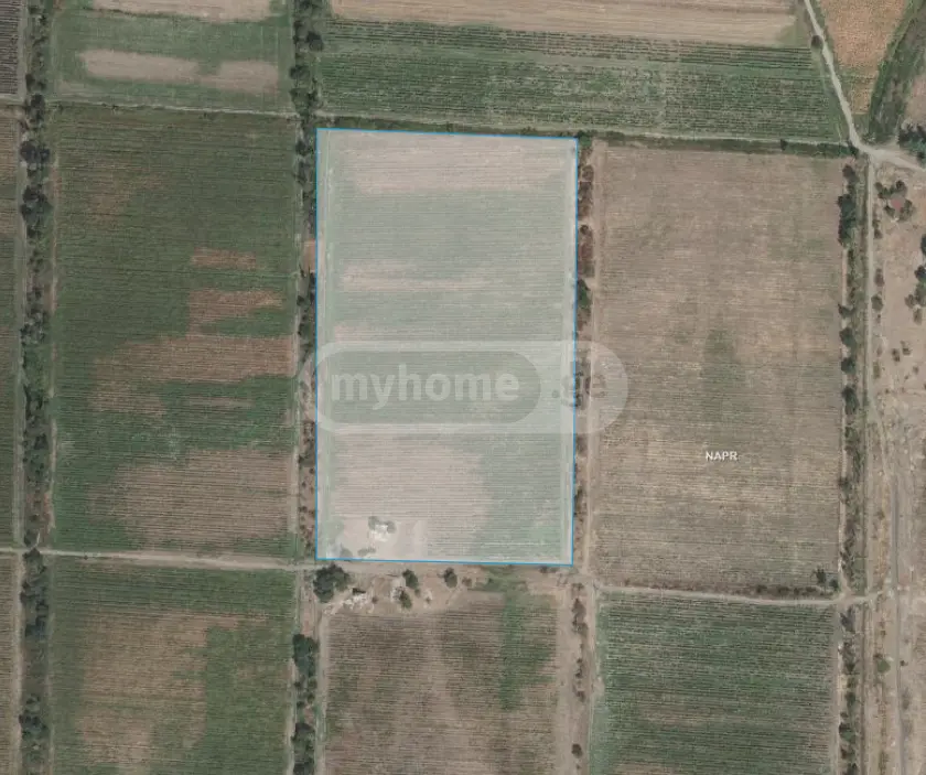 Agricultural Plot For Sale In Sagarejo view 3