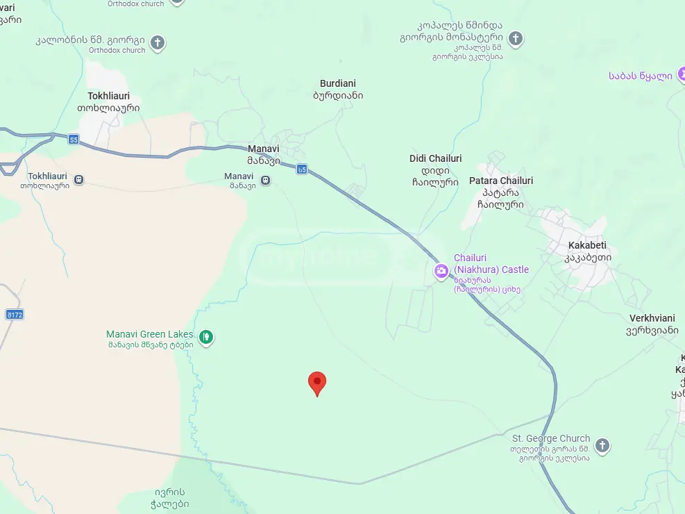 იყიდება Agricultural Plot In Sagarejoში view 4