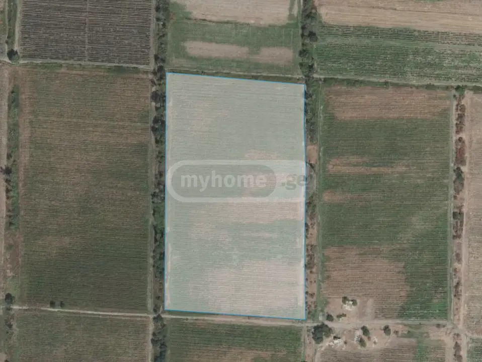 იყიდება Agricultural Plot In Sagarejoში view 3