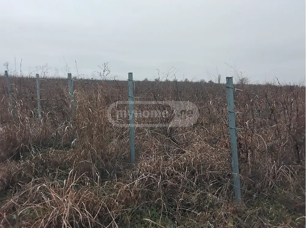 იყიდება Agricultural Plot In Sagarejoში view 1