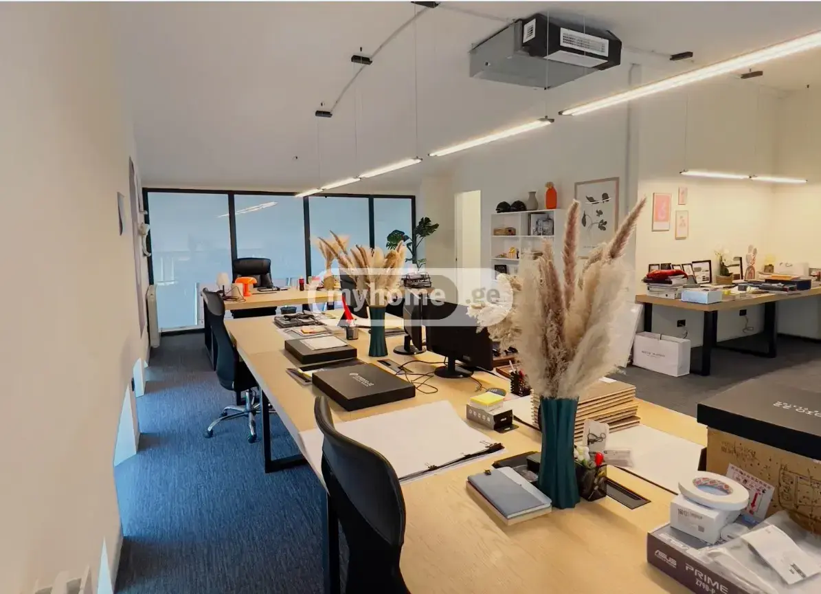 Universal Commercial Area For Sale In Vake view 13