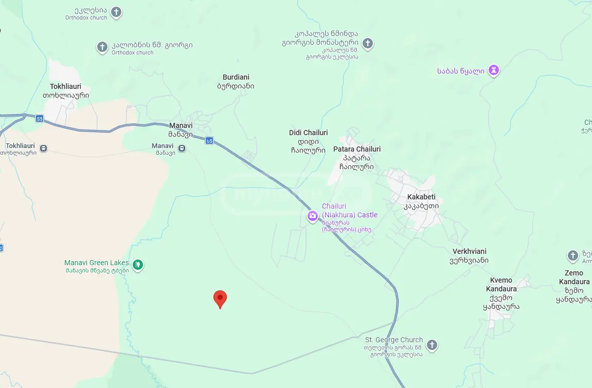 Agricultural Plot For Sale In Sagarejo view 4