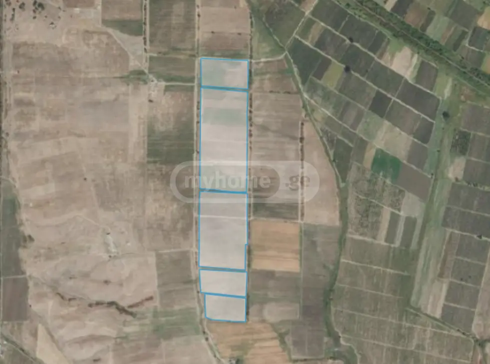 Agricultural Plot For Sale In Sagarejo view 3