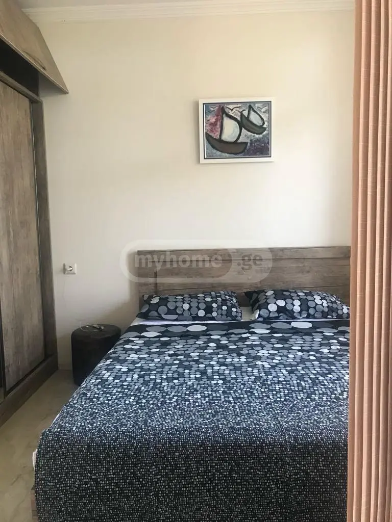 2 Room Apartment Daily Rent In Khelvachauri Municipality view 12