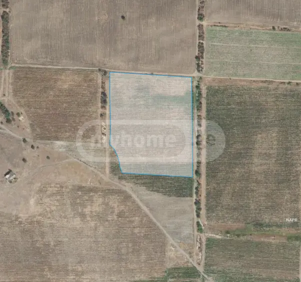 იყიდება Agricultural Plot In Sagarejoში view 3