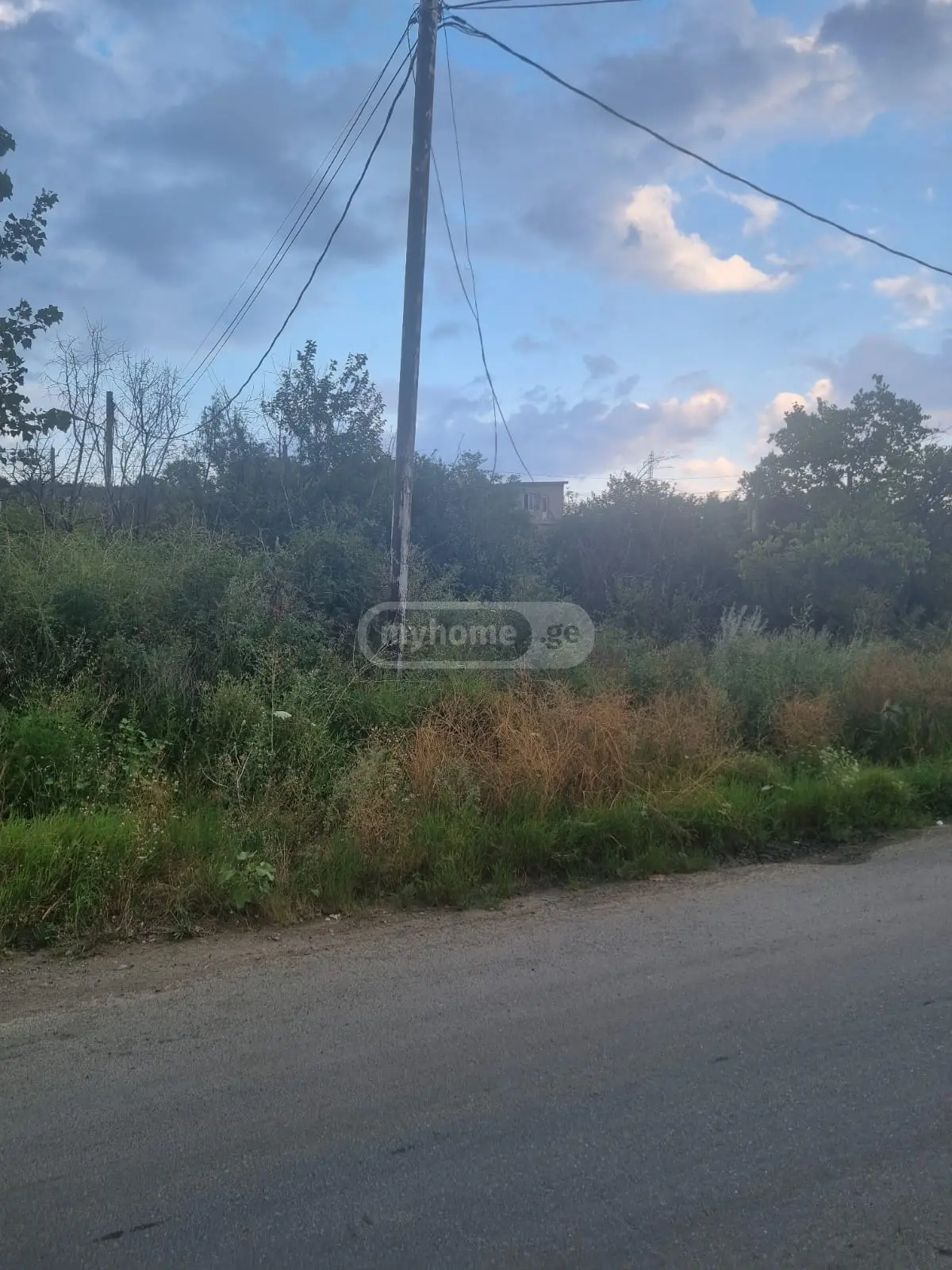 Non-Agricultural Plot For Sale In Lisi Lake view 4
