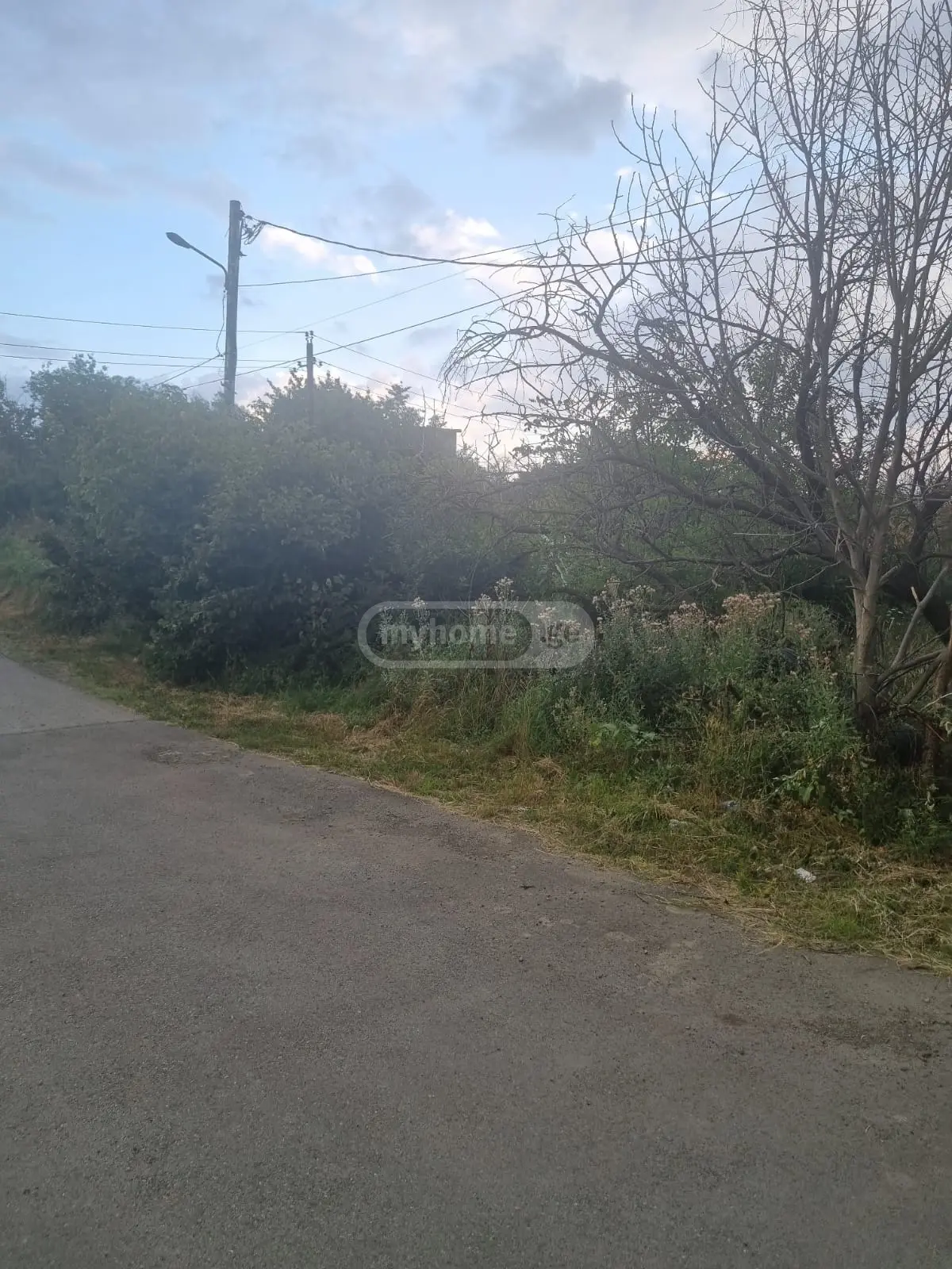 Non-Agricultural Plot For Sale In Lisi Lake view 3